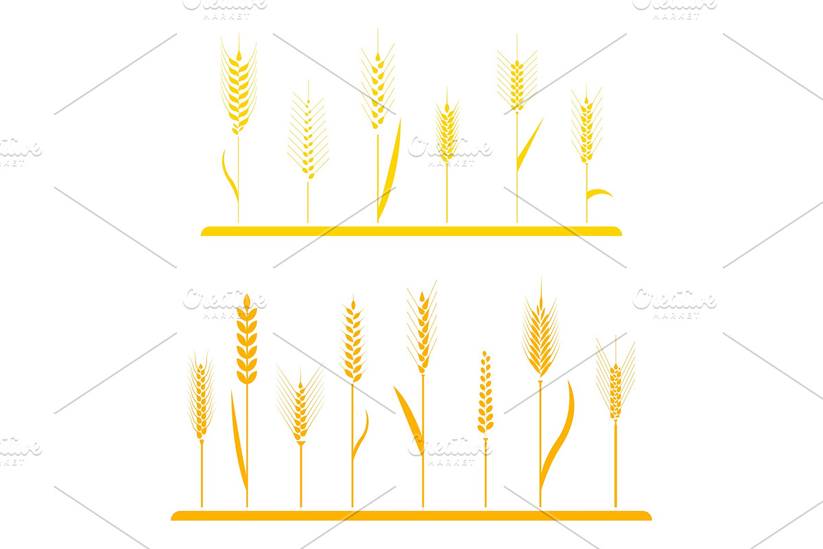 Wheat field background. in Illustrations - product preview 8