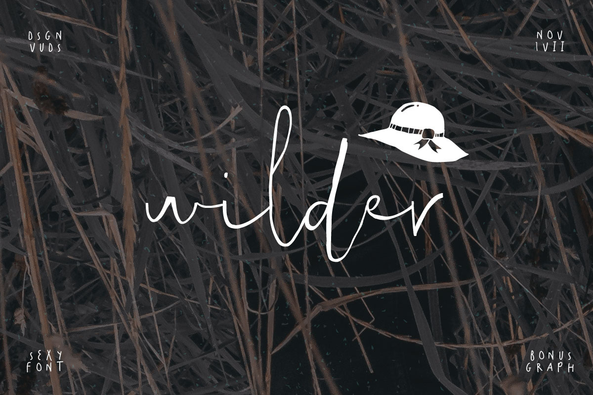 Wilder Font + Graphic in Website Fonts - product preview 8