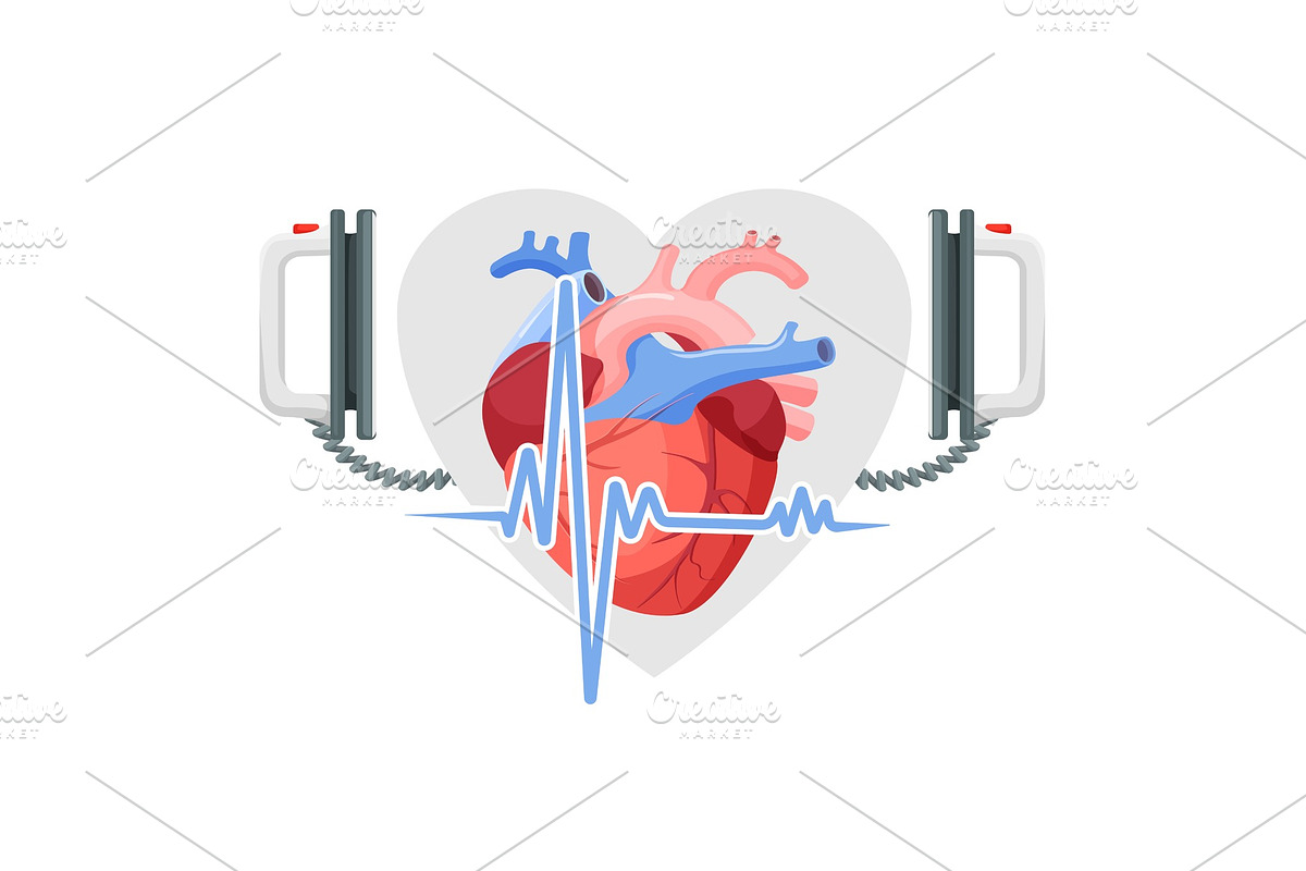 Human heart, modern defibrillator and piece of cordiagram in Objects - product preview 8