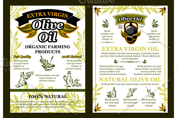 Vector olives poster for organic olive oil