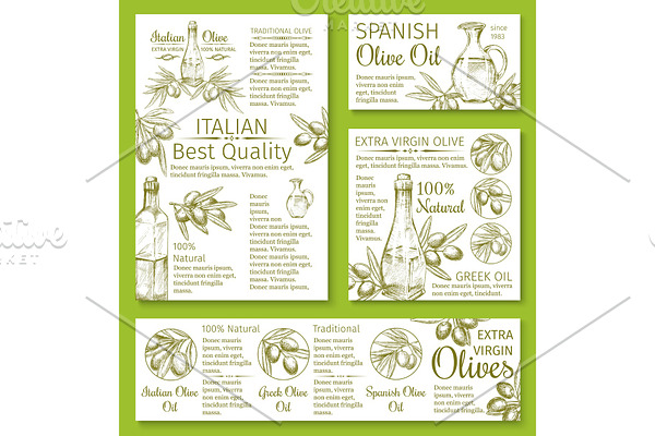 Olive oil sketch banners or posters of olives