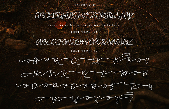 Aisling Font. in Script Fonts - product preview 8