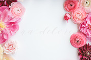 Styled Stock Photo, Pink Flowers 4