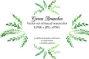 Green watercolor branches set