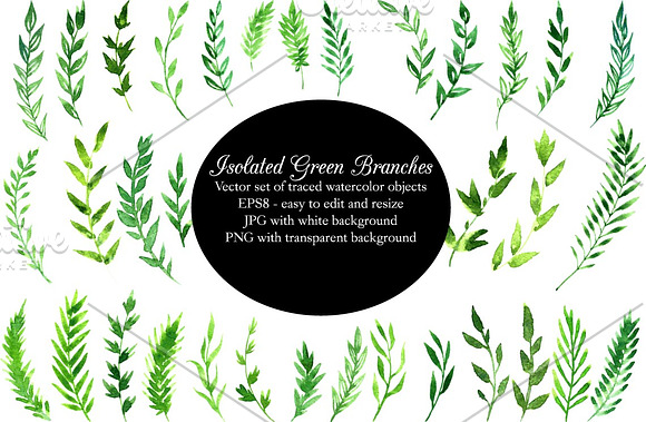 Green watercolor branches set in Illustrations - product preview 1