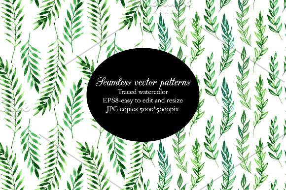 Green watercolor branches set in Illustrations - product preview 2