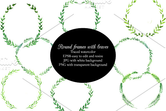 Green watercolor branches set in Illustrations - product preview 3