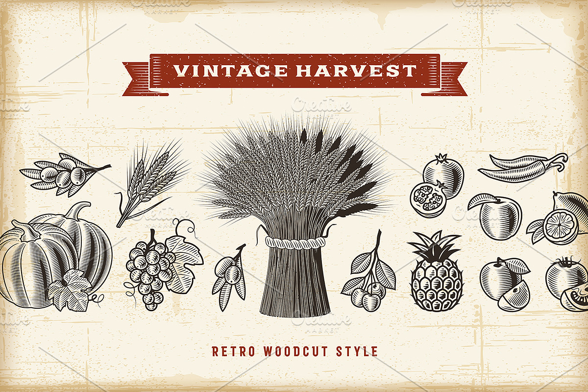 Vintage Harvest Set in Illustrations - product preview 8