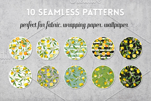 Watercolor Floral Design Set Lemons in Illustrations - product preview 6
