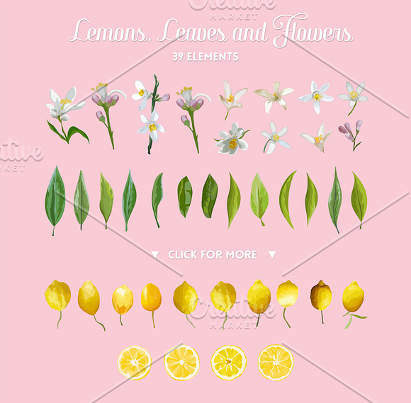 Watercolor Floral Design Set Lemons in Illustrations - product preview 8