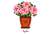 Azalea plant in pot icon