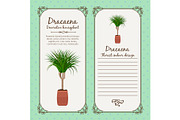 Vintage label with dracaena plant