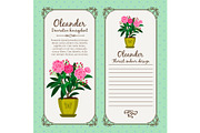 Vintage label with flower oleander