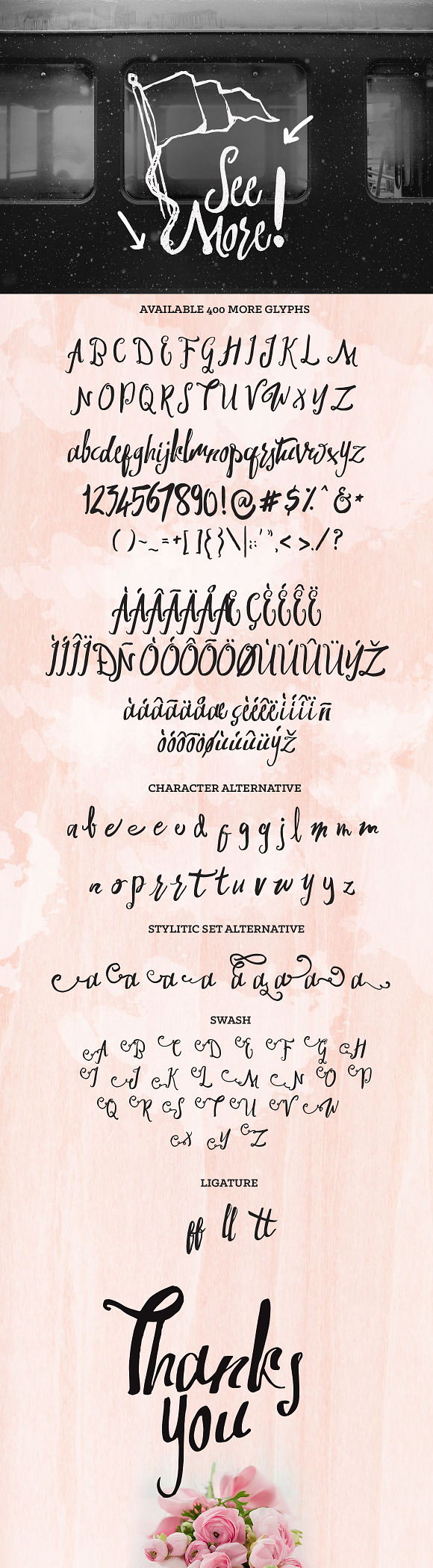 Swirlesque Typeface + Bonus in Script Fonts - product preview 3