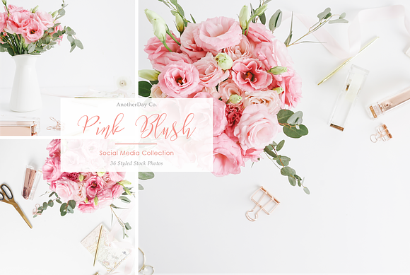 Pink Blush Styled Stock Photos in Mobile & Web Mockups - product preview 1