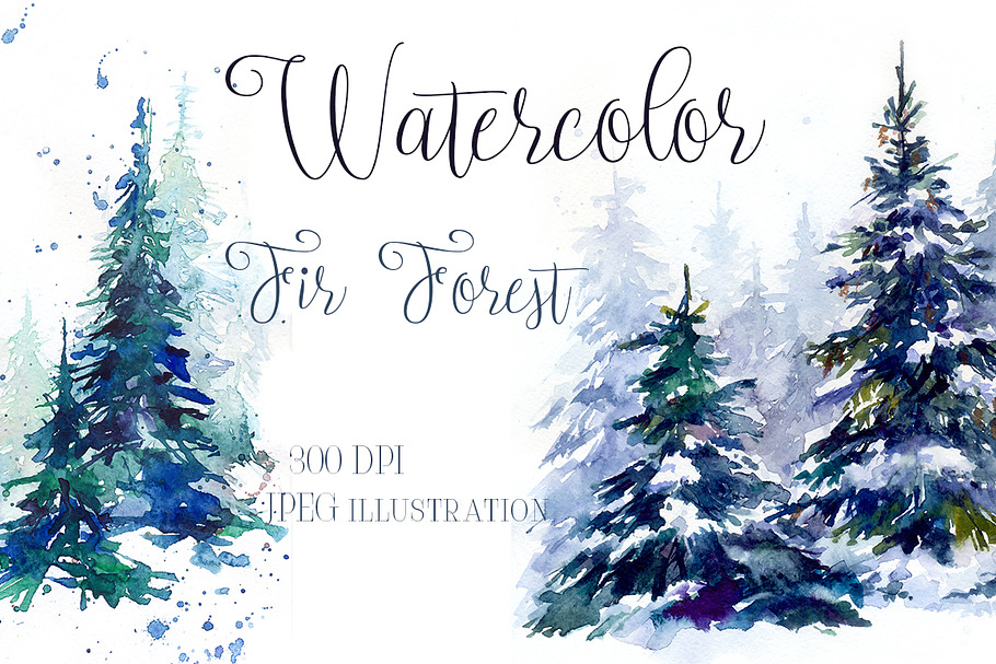 SALE Watercolor winter fir forest