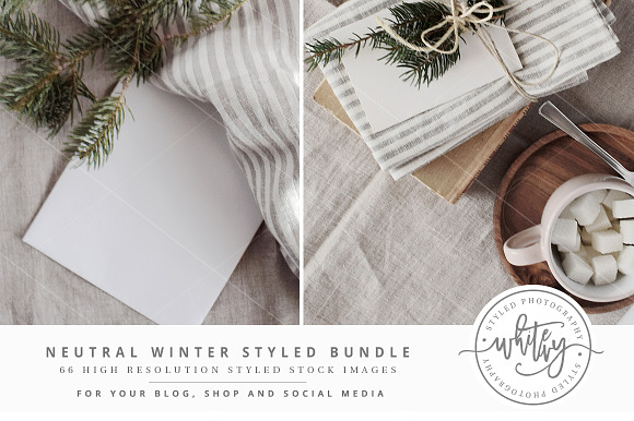 Neutral Winter Styled Stock Bundle in Print Mockups - product preview 3