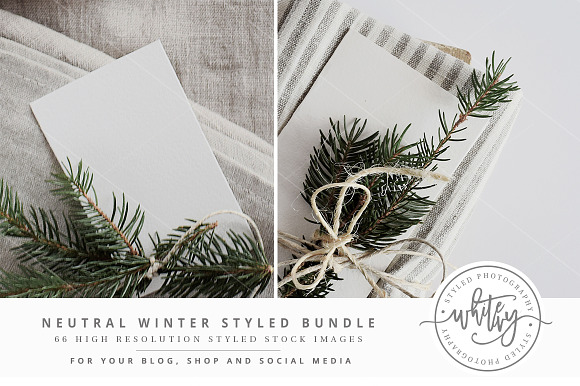 Neutral Winter Styled Stock Bundle in Print Mockups - product preview 5