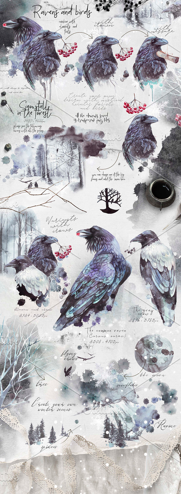 Ravens & birds vol.1 in Illustrations - product preview 3