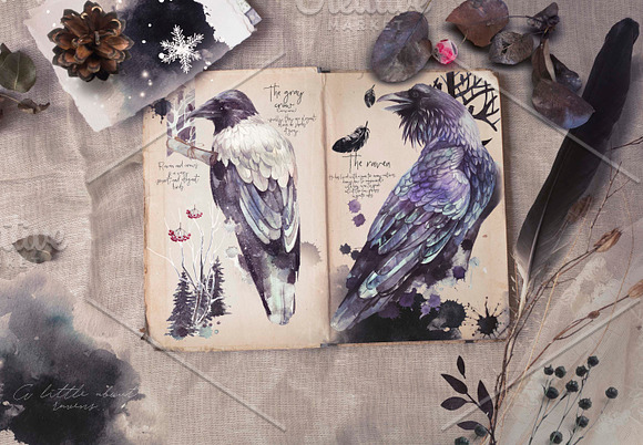 Ravens & birds vol.1 in Illustrations - product preview 4