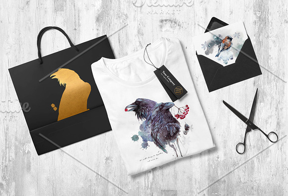 Ravens & birds vol.1 in Illustrations - product preview 11