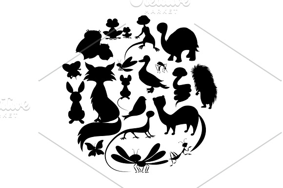 Circle of Animals in Illustrations - product preview 1