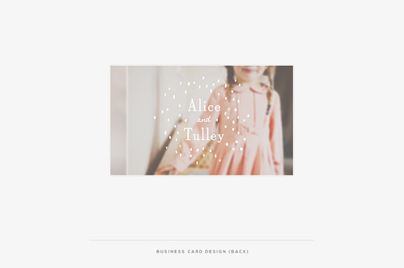 Alice & Tulley ProPhoto 6 Collection in Website Templates - product preview 7