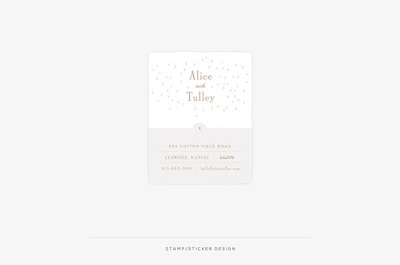Alice & Tulley ProPhoto 6 Collection in Website Templates - product preview 12