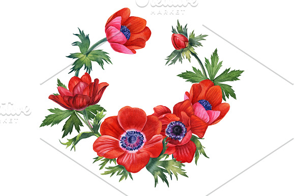 Anemones set in Illustrations - product preview 2