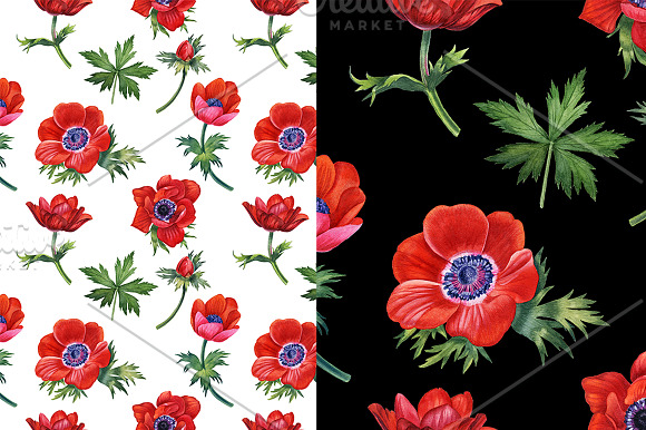Anemones set in Illustrations - product preview 3