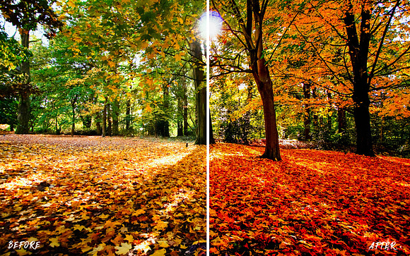 Autumn Lightroom Preset Bundle in Photoshop Layer Styles - product preview 1