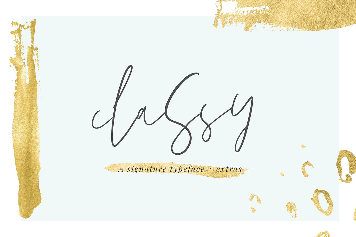 Classy Signature Typeface + Extras in Script Fonts - product preview 8
