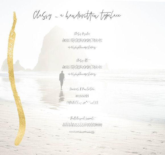Classy Signature Typeface + Extras in Script Fonts - product preview 10