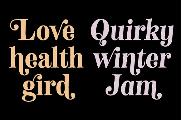 Neato Serif Font Family in Serif Fonts - product preview 8