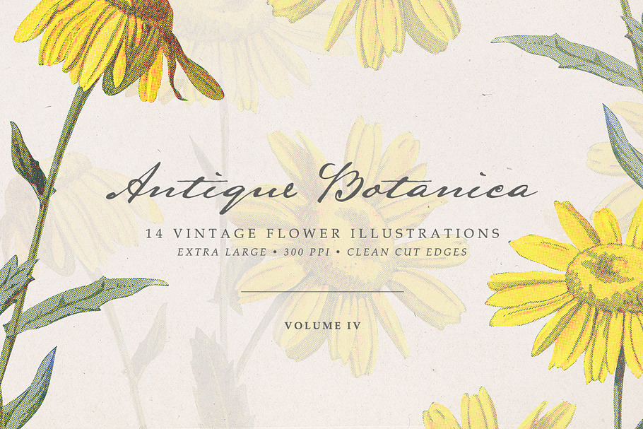 Vintge Flowers Vol.04 - Extra Large