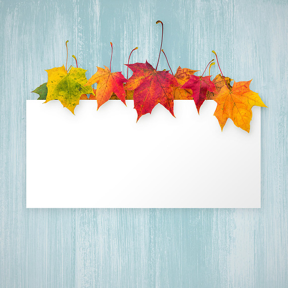 Autumn Leaves -Png Elements & Scenes in Photoshop Layer Styles - product preview 7