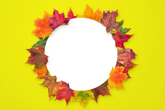 Autumn Leaves -Png Elements & Scenes in Photoshop Layer Styles - product preview 10
