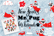 New Year's Mr.Pug and his friends.