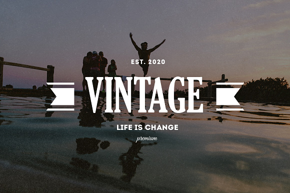 20 Vintage Logos & Badges V10 in Logo Templates - product preview 9