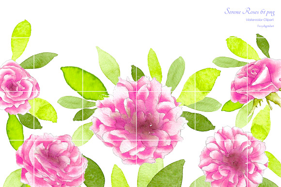 Pink Roses Watercolor Flowers CL59  in Illustrations - product preview 1