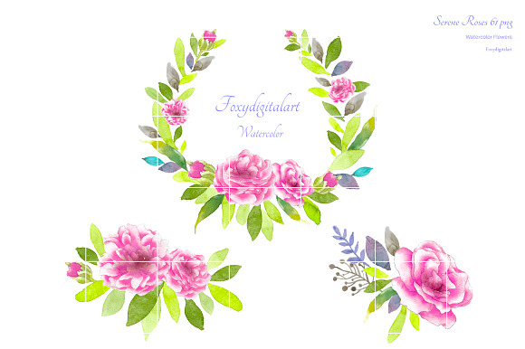 Pink Roses Watercolor Flowers CL59  in Illustrations - product preview 6