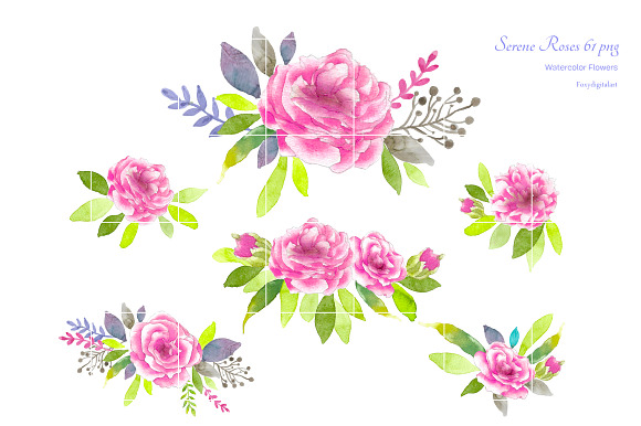 Pink Roses Watercolor Flowers CL59  in Illustrations - product preview 7