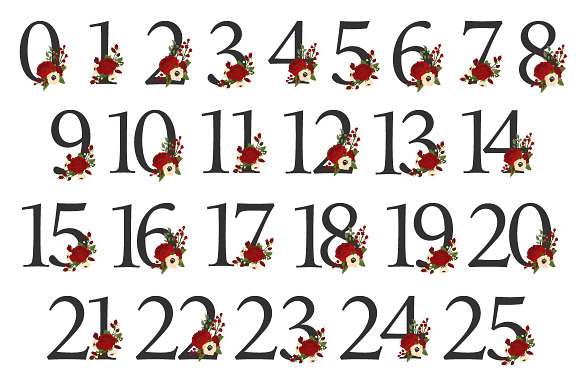 Christmas Floral Number Vectors in Illustrations - product preview 1