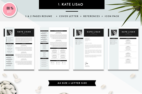 6 in 1 Resume Templates Bundle Vol 1 in Resume Templates - product preview 1