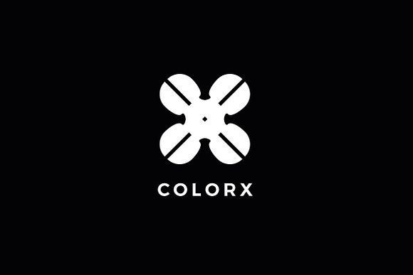 Color X Letter Logo Template in Logo Templates - product preview 2