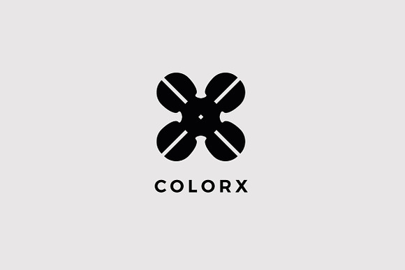 Color X Letter Logo Template in Logo Templates - product preview 3