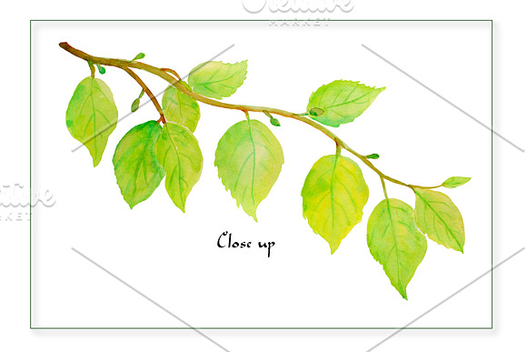 Watercolor Spring Tree Branches in Illustrations - product preview 3