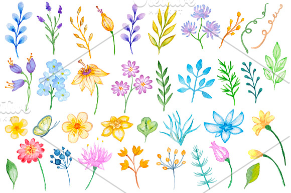 Watercolor Flowers and Leaves in Illustrations - product preview 2