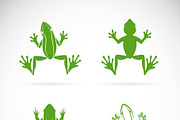 Vector group of frogs design. Animal