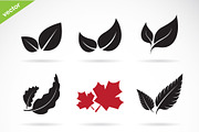 Vector of a leaves icon set.